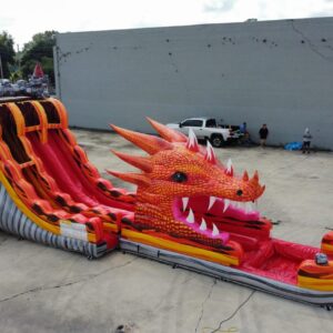 22' Dragons Reign Double Lane Water Slide