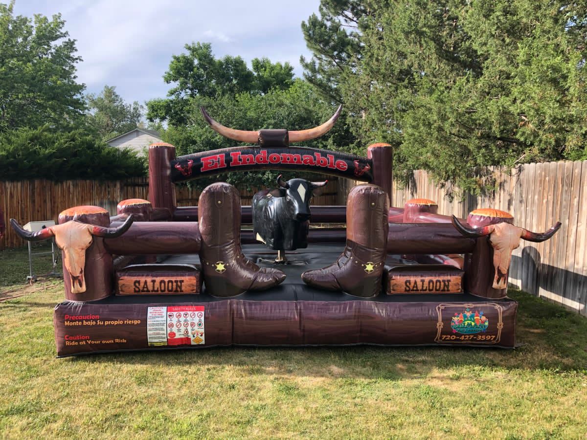 Mechanical bull