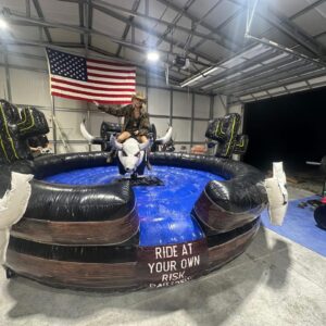 Mechanical bull