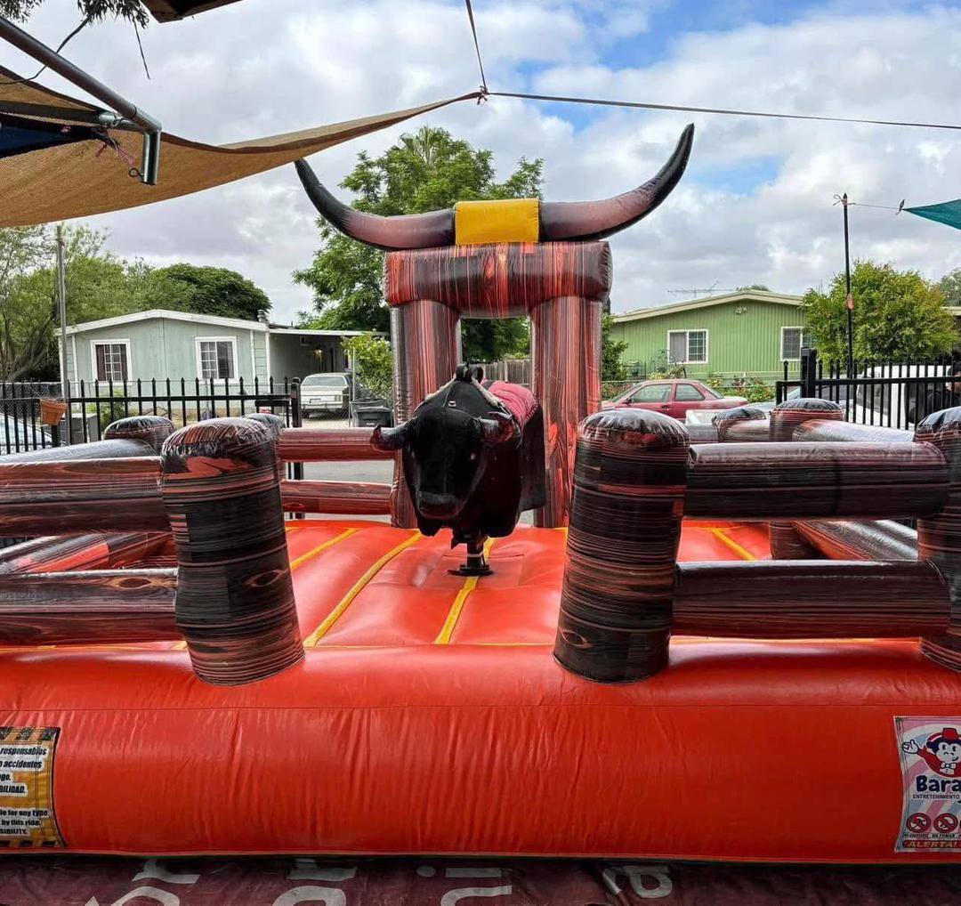 Mechanical bull