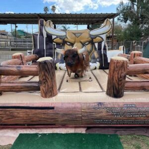 Mechanical bull