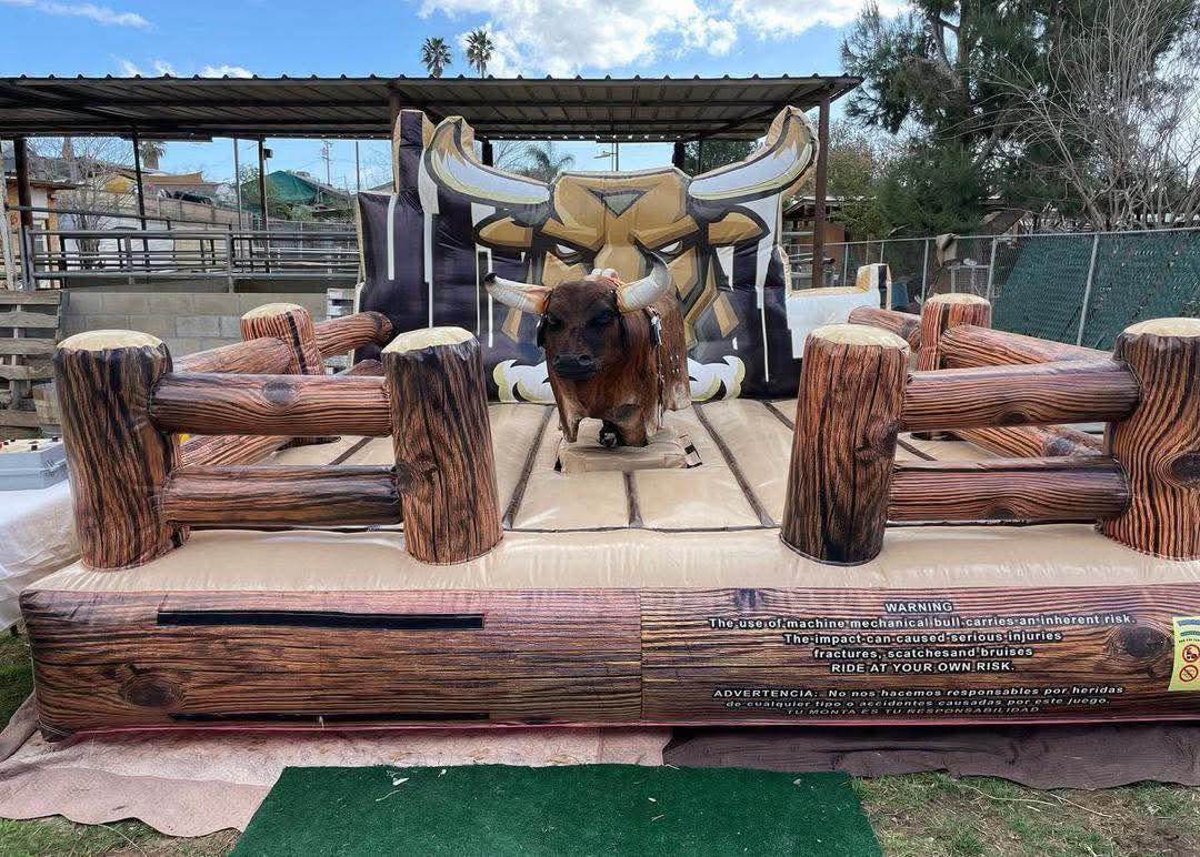 Mechanical bull