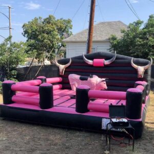 Mechanical bull