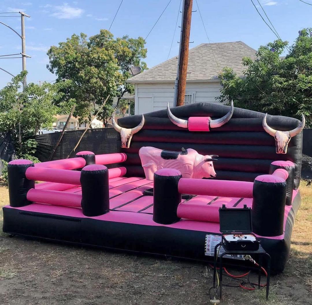 Mechanical bull