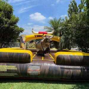 Experience Thrilling Fun with our Mechanical Bull  Rental