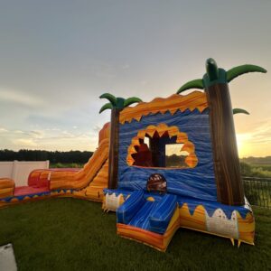 Rasta Splash Curve Combo