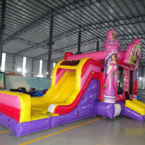 Princess Crown 5-1 Wet/Dry Combo