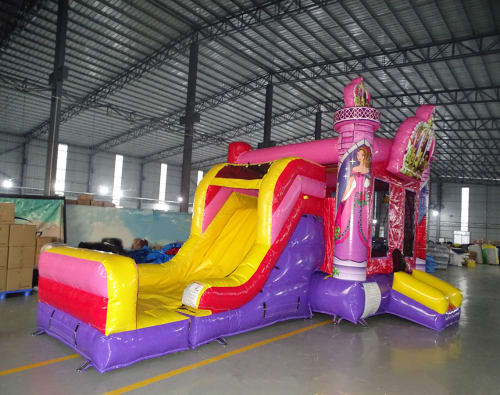 Princess Crown 5-1 Wet/Dry Combo
